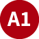 A1