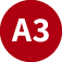 A3